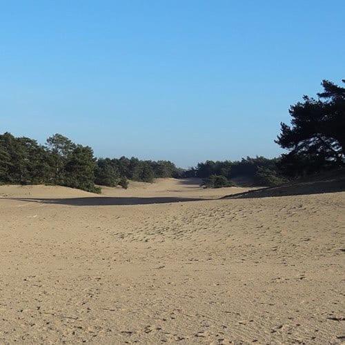 룬터렌 Vakantie Op De Veluwe 빌라 외부 사진