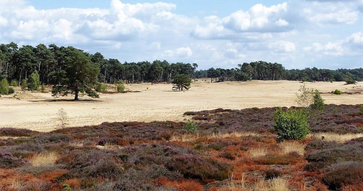 룬터렌 Vakantie Op De Veluwe 빌라 외부 사진